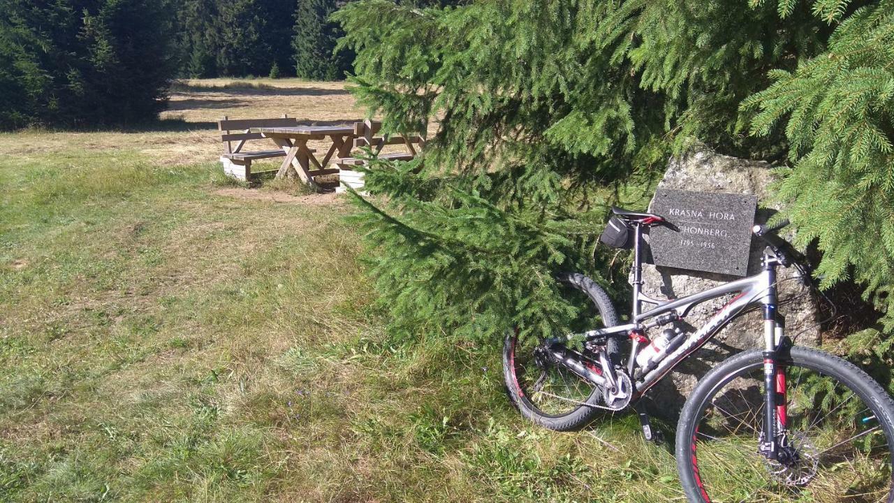 Apt.Jana ,Apt.Terezka Stožec Eksteriør billede