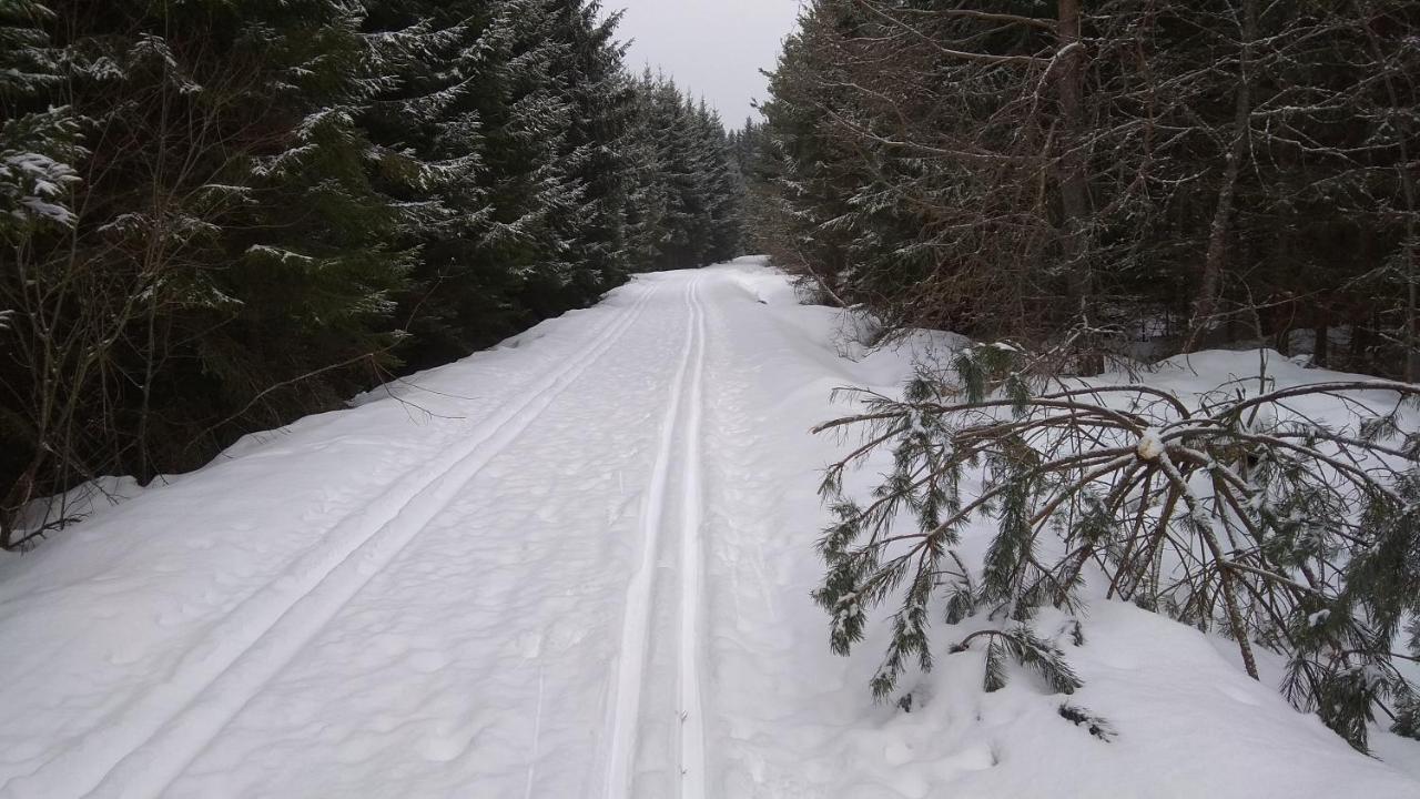 Apt.Jana ,Apt.Terezka Stožec Eksteriør billede